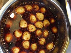 -舒记钵钵鸡