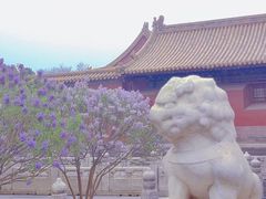 -故宫博物院(故宫)