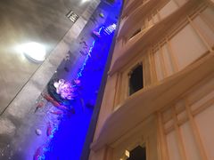 -九田家黑牛烤肉料理(中北镇店)