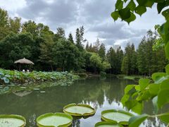 -上海滨江森林公园