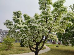 -国家植物园南园