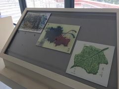 -上海交通大学（闵行校区）-李政道图书馆