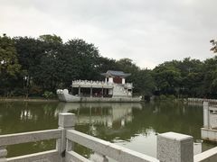 -金花茶公园