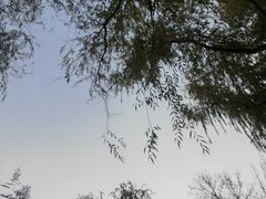 -北京动物园