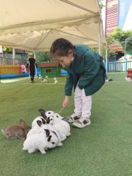 -萌宠亲子动物乐园(槐房万达店)