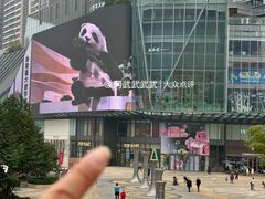 -合景·悠方(成都店)