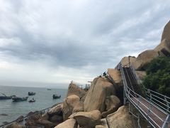 -那琴半岛地质海洋公园