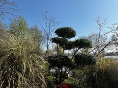 -羊山湖公园