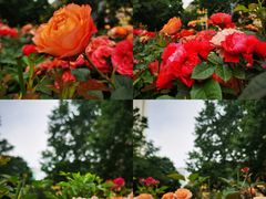 -成都市川剧院·《川剧秀·传奇变脸》·锦江剧场