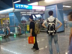 -大龙山(地铁站)