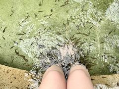 -大理地热国