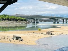 -海堤纪念公园