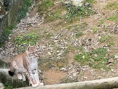 -宁波野生动物园