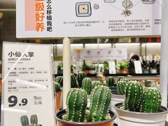 实物图-鹿岛生活(龙湖上城天街店)