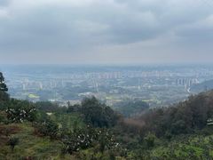 -樱桃山旅游景区