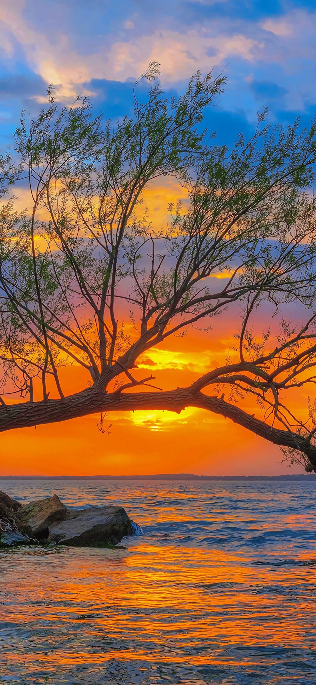 风景#落日余晖映晚霞#最美晚霞#日落#爱在日落黄昏时#集拼图记生活