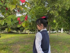 -艾溪湖湿地公园