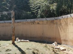 -宁波野生动物园