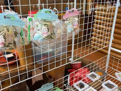-蓝湾碧波·老字号·疍家非遗海上餐厅