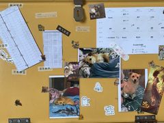 -上海市工商外国语学校