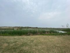 -春花秋色城市公园