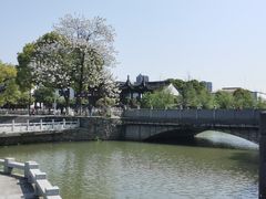 -八大山人梅湖景区
