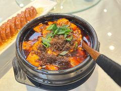 -陈麻婆豆腐(旗舰店)