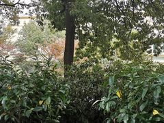 -上海市保健医疗中心