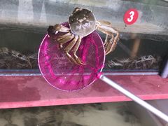 -乡乐园蟹庄·阳澄湖农家乐