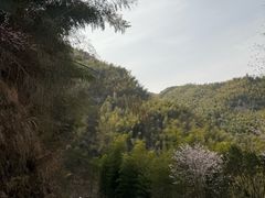 -四明山国家森林公园