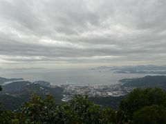 -东部华侨城
