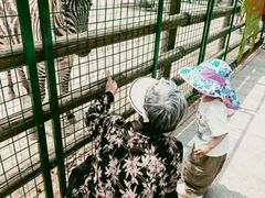 -苏州太湖西山岛开心农场