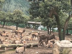 -西安秦岭野生动物园