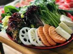 -东镇老火锅(长春路首店)