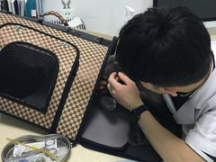 -莘程宠物医院(金山店)
