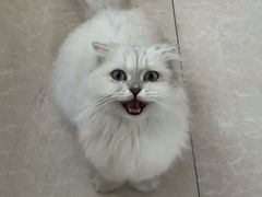 -联合动物医院(光谷诊疗中心)