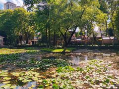 -安徽大学(龙河校区)