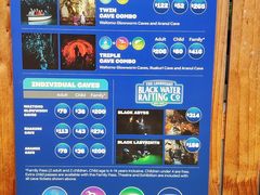 -怀托摩萤火虫洞