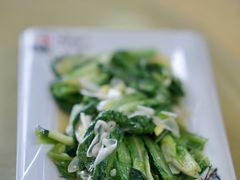 素炒油麦菜-炕锅羊肉土火锅面片大王