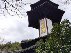 -上海佘山国家森林公园天马山园