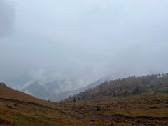 -芦芽山旅游度假区