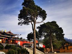 -黑龙潭公园
