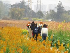 -三圣花乡旅游区