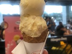 双球雪糕-哈根达斯(天河城店)