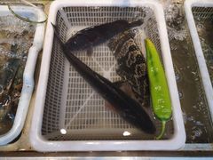 -沈家门海鲜夜排档(东港店)