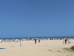-日照海滨国家森林公园