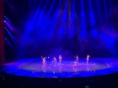 -水秀国际大剧院