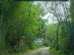 -海南热带野生动植物园