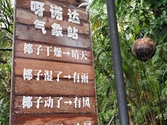 -呀诺达热带雨林