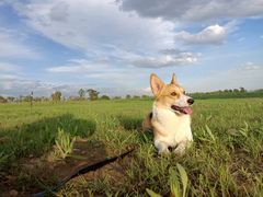 -敕勒川草原文化旅游区